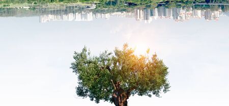 Eco green conceptの写真素材