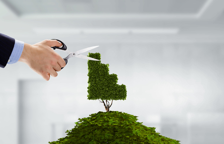 Care and protect your moneyの写真素材