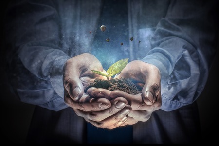 Birth of new life. Mixed mediaの写真素材