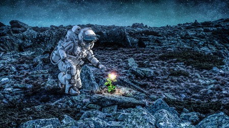 Astronaut on planet surface and green growing sprout. Mixed mediaの写真素材