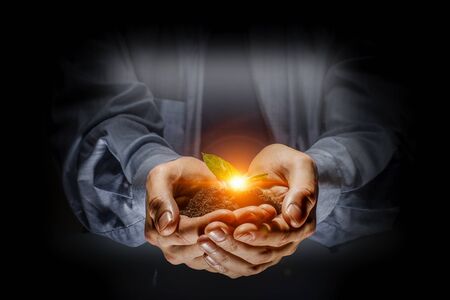 Close up of businessman hands with sprout in palms