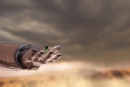 Hand of astronaut and green sprout. Mixed mediaの写真素材