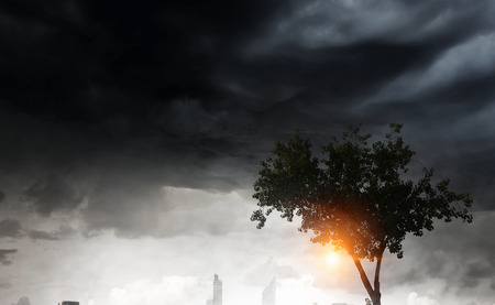 Green tree as symbol for healthy ecology. Mixed mediaの写真素材