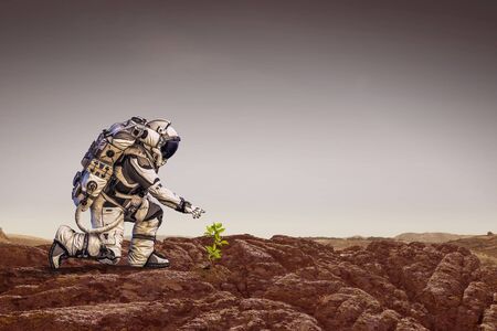 Spaceman on planet surface and green growing sprout. Mixed mediaの写真素材