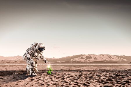 Spaceman on planet surface and green growing sprout. Mixed mediaの写真素材