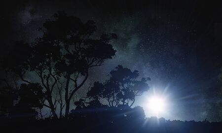 Silhouette of tree against full moon backgroundの写真素材