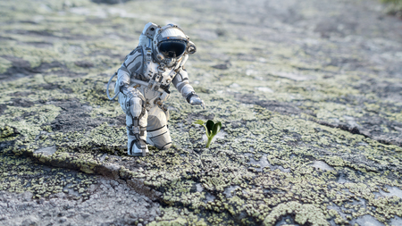 Astronaut on planet surface and green growing sprout. Mixed mediaの写真素材
