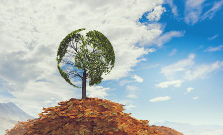 Green tree on heap of yellow autumn leaves. Mixed mediaの写真素材