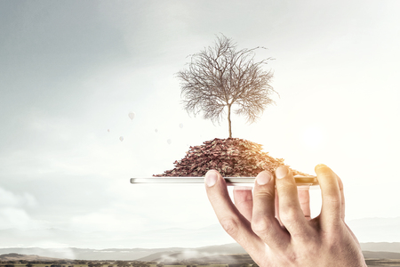 Dry tree on heap of yellow autumn leaves in male palmsの写真素材
