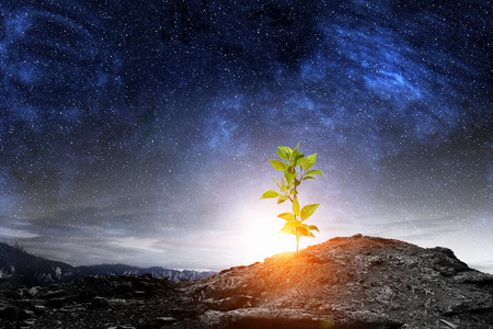 Green sprout growing from planet surface. Mixed mediaの写真素材