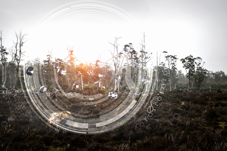 Metal grid as networking concept. 3D renderingの写真素材