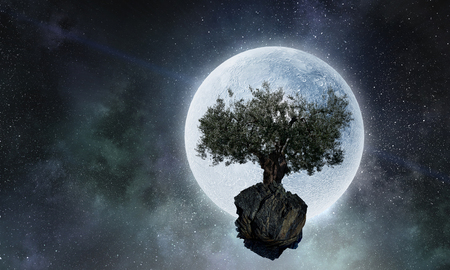 Lonely tree on rock top. Mixed mediaの写真素材