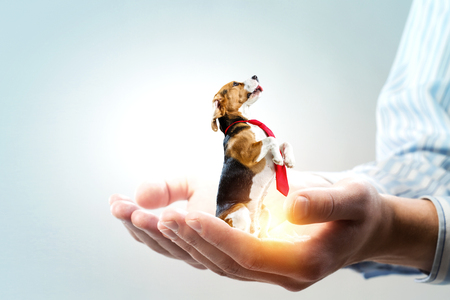 Treat them with careの写真素材