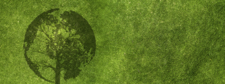 Green grass abstractの写真素材