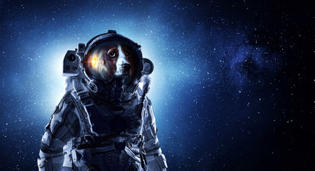 Astronaut dog wearing space suit against starry sky. Mixed mediaの写真素材