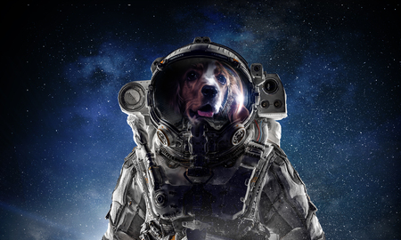 Astronaut dog wearing space suit against starry sky. Mixed mediaの写真素材
