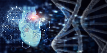 Medicine research of human heartの写真素材