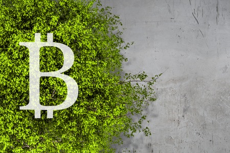 The concept of crypto currency codingの写真素材
