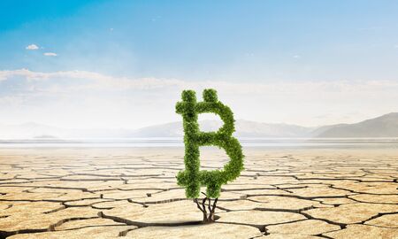 Green bitcoin plant. Mixed mediaの写真素材