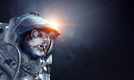 Astronaut cat wearing space suit.の写真素材