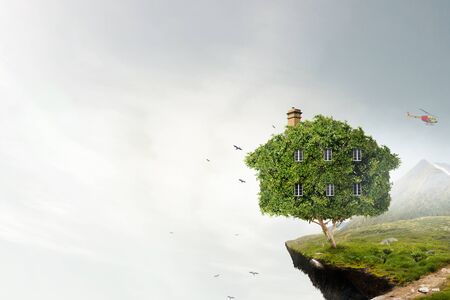 Little Eco House on the green grass concept. Mixed media