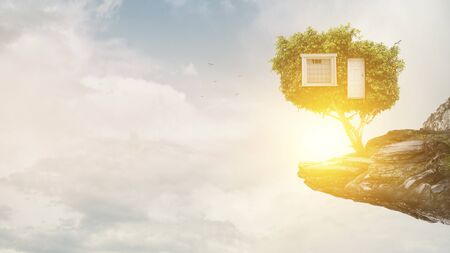 Little Eco House on the green grassの写真素材