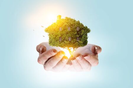 Hand holding green house . Mixed mediaの写真素材