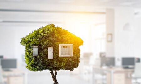 Little Eco House on the green grass concept. Mixed mediaの写真素材