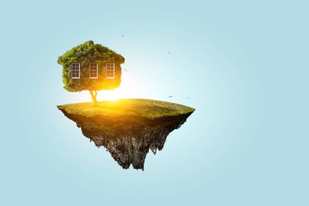 Little Eco House on the green grassの写真素材