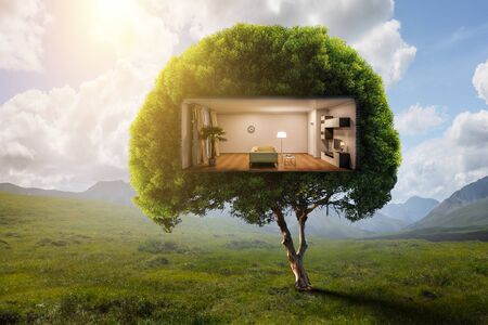 Real estate and ecology conceptの写真素材