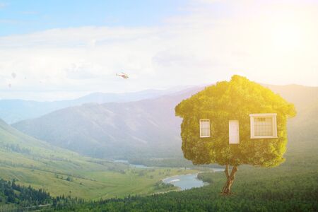 Little Eco House on the green grassの写真素材