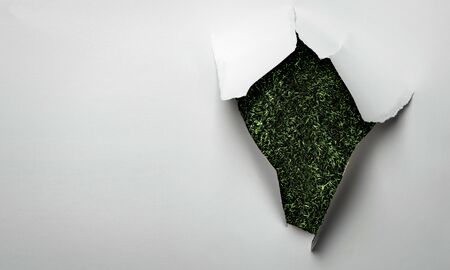 Torn white paper on green grass background. Mixed mediaの写真素材