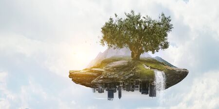 Image of tree and landscape