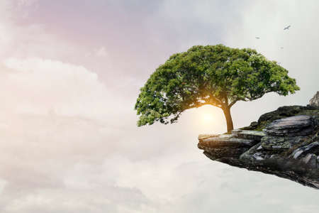 Image of tree and landscapeの写真素材