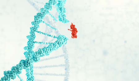Innovative DNA technologies in science and medicineの写真素材