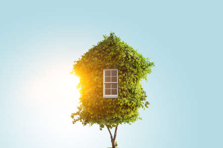 Little Eco House on the green grassの写真素材