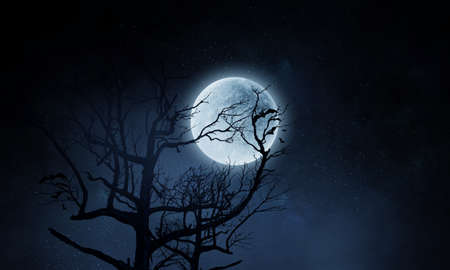 Spooky night image . Mixed mediaの写真素材