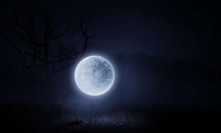 Spooky night image . Mixed mediaの写真素材
