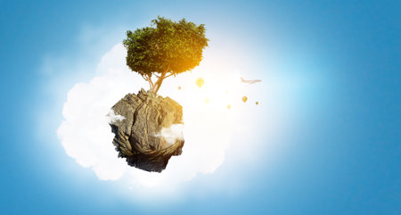 Image of tree and landscapeの写真素材