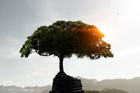 Image of tree and landscapeの写真素材