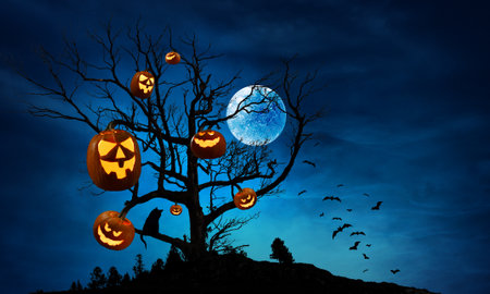 Halloween design with pumpkins . Mixed mediaの写真素材