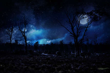 Spooky night image . Mixed media