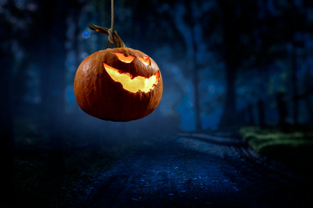 Halloween design with pumpkins . Mixed mediaの写真素材