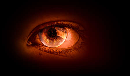 Macro image of human eyeの写真素材