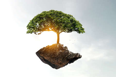 Image of tree and landscapeの写真素材