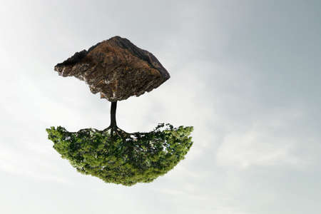 Image of tree and landscapeの写真素材