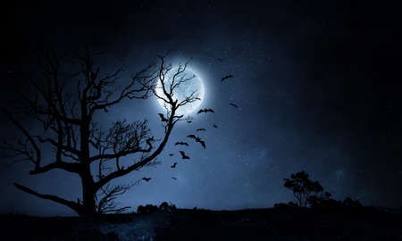 Spooky night image . Mixed mediaの写真素材