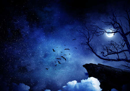 Spooky night image . Mixed mediaの写真素材