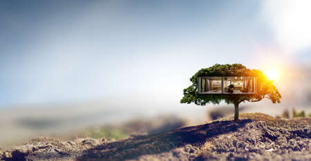 Green grass eco house . Mixed media