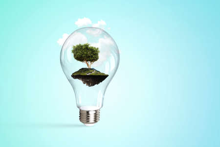 Tree growing inside light bulb
